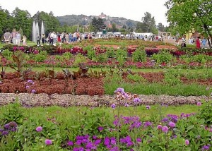 Blütenpracht in Kronach und zahlreiche Besucher aus Nah und Fern. Der Blick auf die obere Stadt und die Festung ergibt sich völlig neu.